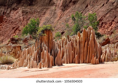 the red desert