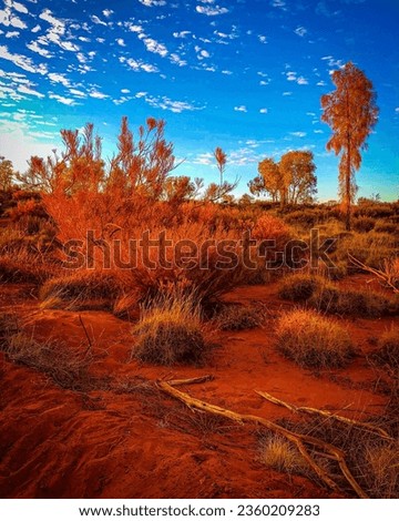 Red dirt in the Australian Outback Norther Territory Australia