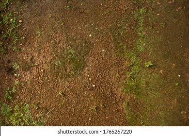 Red Dirt With Grass (soil) Background Or Texture.