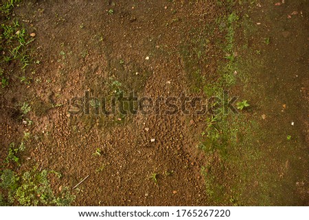 Red dirt with grass (soil) background or texture.