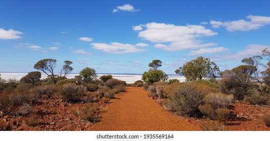 Red Dirt Path Lined Either Side With Natural Scrub Bushes Leading To Salt Lake