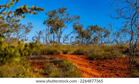 red dirt path through the bush in western australia; the road to nowhere in the australian outback near exmouth in cape range national park