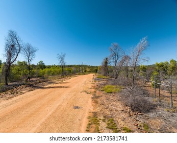 A Red Dirt Road In The Australian Bush.