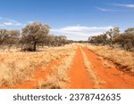 A red dirt track through the semi arid outback country in Currawinya National Park in Queensland, Australia