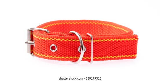 Red Of Dog Collar Isolated On A White Background