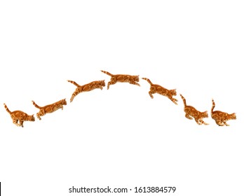 Red Domestic Cat, Kitten Leaping Against White Background  