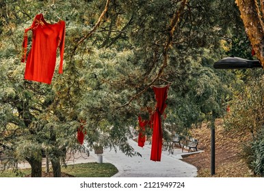 Red Dresses That Are Part Of The MMIW Remeberance Hang From Pine Trees Above A Concrete Pathway With Benches In A Park 