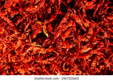 Red Dried Chilli in the evening
