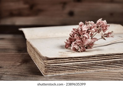 Red dried flower on old book , memories and romantic activity - Shutterstock ID 2389635399