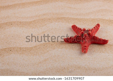 Similar – Image, Stock Photo Toy shovel with starfish on a beach