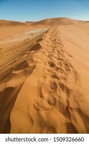 Red dune with foot prints at dead vlei, a dried out valley filled with ancient dead trees at Sossusvlei, Namib desert, Namibia