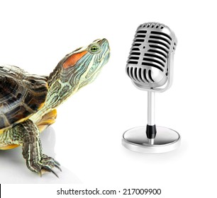 Red ear turtle with microphone isolated on white