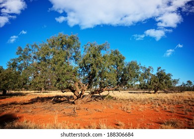 Red Earth In The Australian Outback. Gundabooka National Park Near The Town Of Bourke