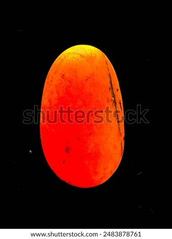 Similar – Image, Stock Photo Easter eggs Firm Nature