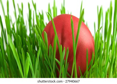 red easter eggs in green grass with white background