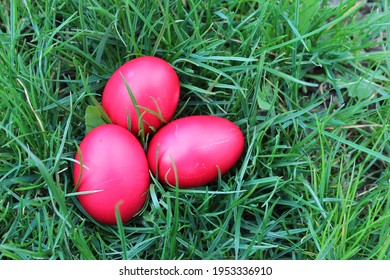Red Easter eggs in nature