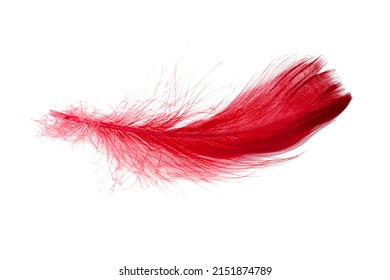 2,749 Red feathers falling Stock Photos, Images & Photography ...