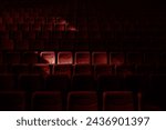 Red empty chairs seats at cinema theater. Low key photo