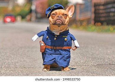 Red fawn French Bulldog dog wearing funny police officer uniform costume with fake arms in street
