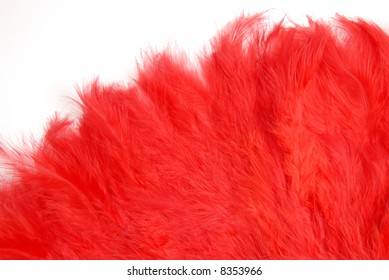 Red Feather Fan