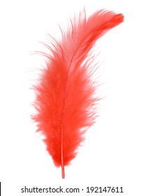 37,688 Single red feather Images, Stock Photos & Vectors | Shutterstock