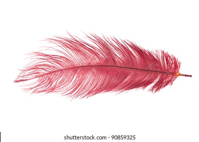 37,895 Carnival feather background Images, Stock Photos & Vectors