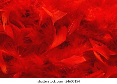 Red Feather Scarf Texture