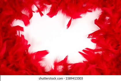Red Feathers. Background Of Red Feathers