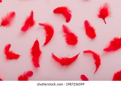 Red Feathers Pattern On Pink Colored Background. Top View Soft Bird Feather Pattern Texture.