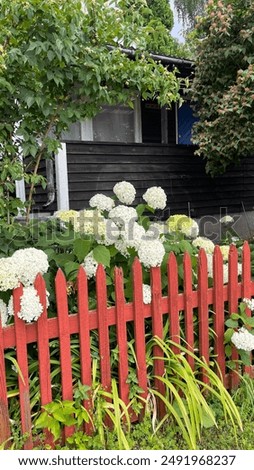 Similar – Image, Stock Photo fenced flowers blossoms