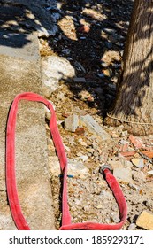 Red Fire Hose With Fitting On A Ground