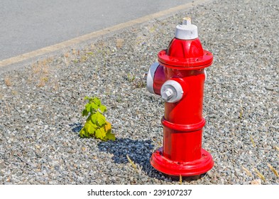 Red Fire Hydrant