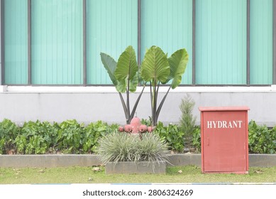 Red Fire Hydrant and Emergency Box Outside Modern Building with Green Windows and Landscaping