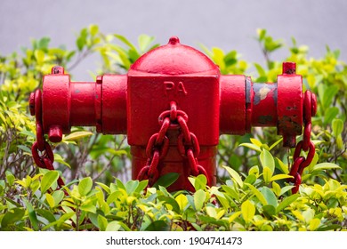 Red Fire Hydrant Hidden Side Walkway Stock Photo 1904741473 | Shutterstock