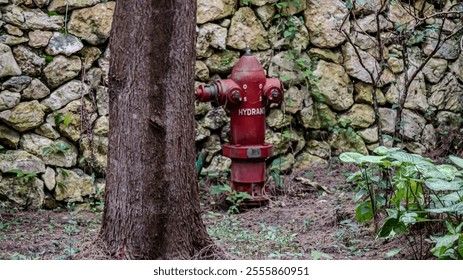 Red fire hydrant next to a tree and stone wall.