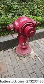 red fire hydrant . The hydrant is painted a deep red color and appears to be made of cast iron. 