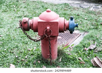 A red fire hydrant sitting on top of a lush green field