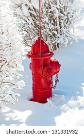 A red fire hydrant in the snow.