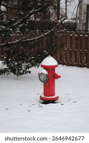 Red fire hydrant in the snow