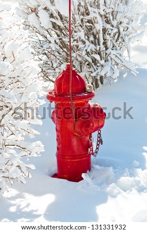 A red fire hydrant in the snow.