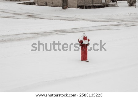 A red fire hydrant in the snow