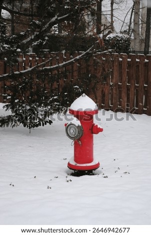 Red fire hydrant in the snow