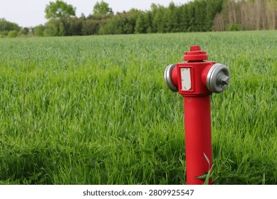 Red fire hydrant standing in a lush green field with a forest in the background, symbolizing fire safety, emergency preparedness, and rural infrastructure in a peaceful natural landscape