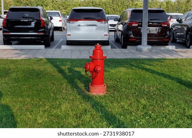 Red fire hydrant standing on green grass, with parked cars visible in the background. Essential urban safety equipment and public infrastructure.