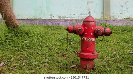 A red fire hydrant stands tall in a lush green garden. Its weathered surface and chain add a touch of vintage charm. Red Fire Hydrant in a Green Garden