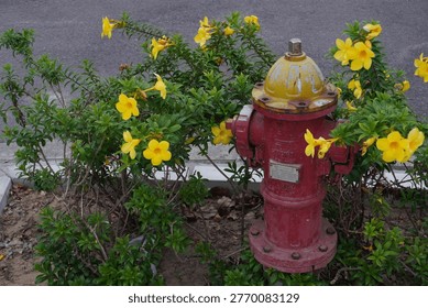 Red fire hydrant surrounded by blooming yellow flowers in a tropical urban garden, greenery and city environment background