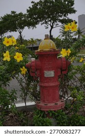 Red fire hydrant surrounded by blooming yellow flowers in a tropical urban garden, greenery and city environment background