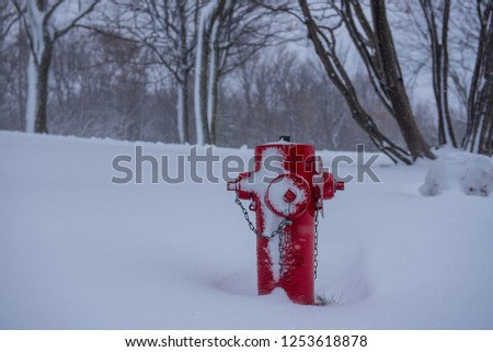 Red fire hydrant surrounded in snow