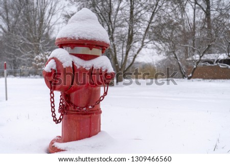 Red Fire Hydrant in Winter Snow