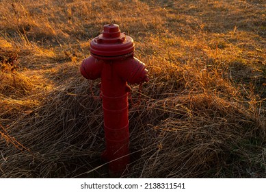 Red Fire Safety In Nature